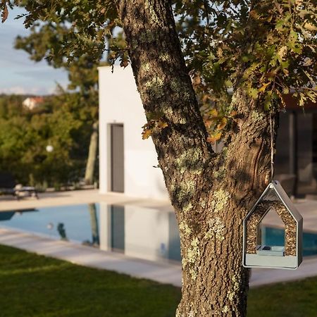 Villa Eos Sveti Petar u Sumi Exterior foto